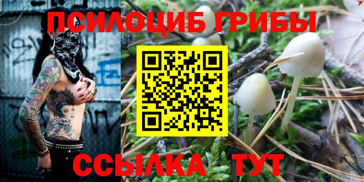 Коркино  Галлюциногенные грибы Psilocybine cubensis  Вход с VPN 